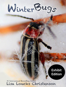 Winter Bugs Exhibit Edition by Lisa Loucks-Chrsitenson